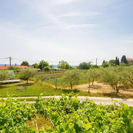 Juratovec * Portorose