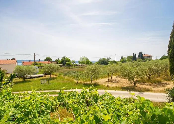 Juratovec * בפורטורוז